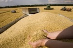 Импорт зерновых культур в Россию